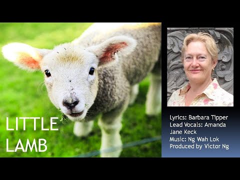 Little Lamb - Amanda Jane Keck (Lyrics: Barbara Tipper, Music: Wah Lok)