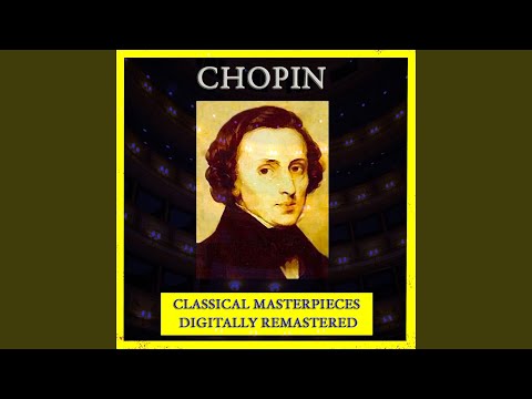 Etude In E Minor. Op. 25/5