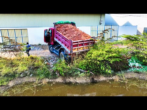 First Start Wonderful Project.! Landfill Flooded Pond By Dozer Pushing Soil With Dump Truck 5t