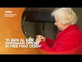 Wie versiert de mooiste kerstboom van Gelderland?