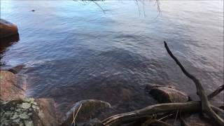 Eternell - Nothing Left But Everything