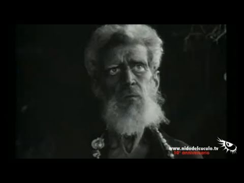 Nido del Cuculo - Presentazione Squadra