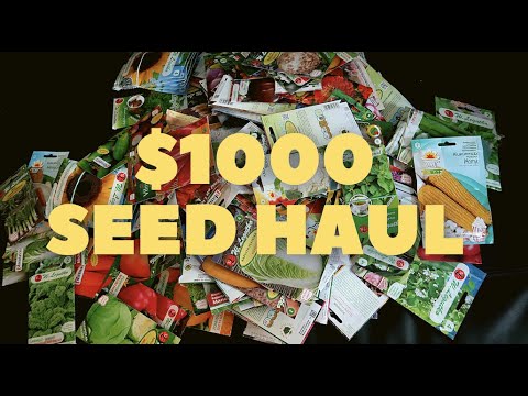, title : '$1000 Seed Haul. Over 100 tomato varieties #seedhaul'