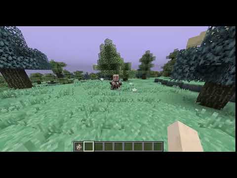 Aether II - Highlands: NPC eye pupils