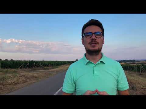 Campanie locală 2020 | Proiecte pentru Coțatcu - Adrian Gheorghe (Pody) candidat Primăria Podgoria