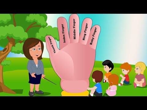 Latest Finger Family Song For Kids | Learn Finger Names (Finger Family) |Finger Family By Super Kids