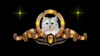 Raphael Gualazzi   L'estate di John Wayne divx