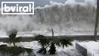 Nature Is Gently Reminding Us Who's Really in Charge