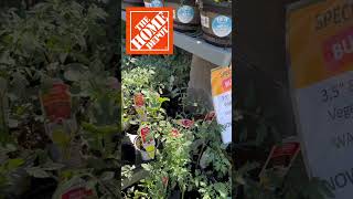 CrAzY Plant Sale @HomeDepot  #plantsale #garden #raisedgardenbeds #gardening