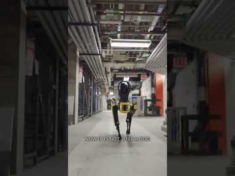 Ученые добавили Chatgpt к роботу из Бостонской динамики