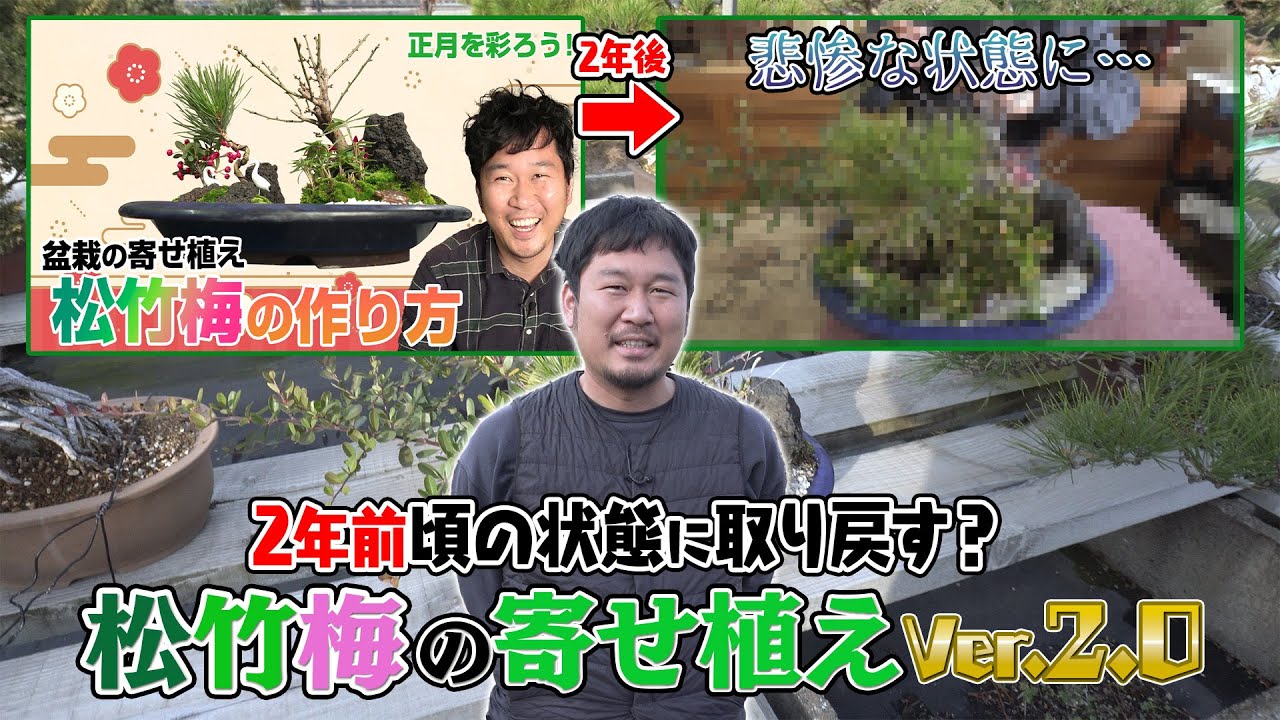 超希少激レア！鬼才関野正作　根上がり半懸崖　五葉松　小品　盆栽　黒松　真柏 i-img900x1200-