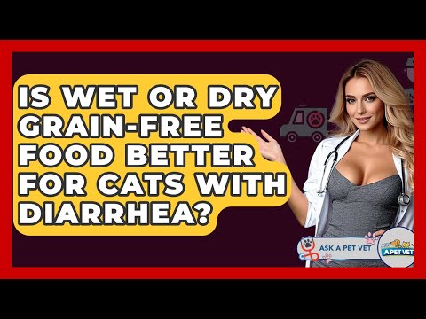 Is Wet Or Dry Grain-free Food Better For Cats With Diarrhea? - Ask A Pet Vet
