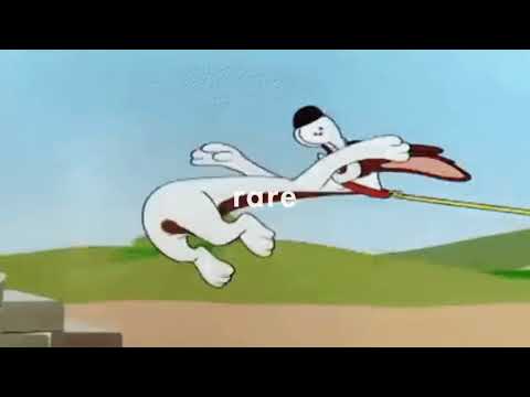 Rinse Cycle - MISCOMMUNICATION