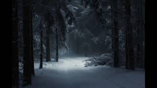 &#39;st. jude&#39; by florence + the machine but you&#39;re in the middle of a forest during a snowstorm