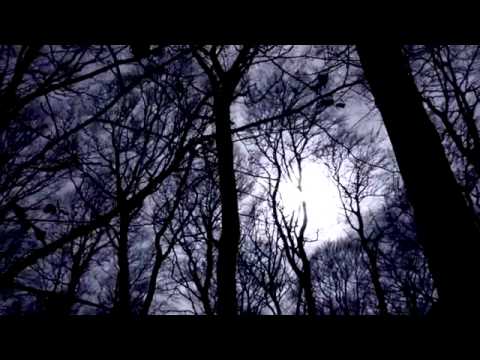 Alexander Paul Blake - Naturgeisterschauspiel