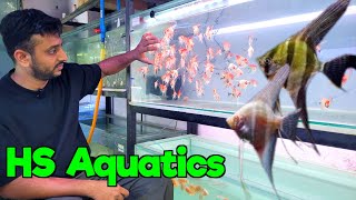 HS Aquatics in Mumbai I Delivery Available All Over India