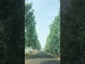 Best Highway In India Best Drive In India Drive Nature Shorts Trending India Highway ️