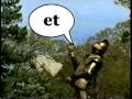 Between The Lions Gawain S Word Net