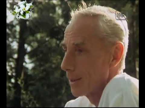 Georg Stefan Troller Der weg nach innen