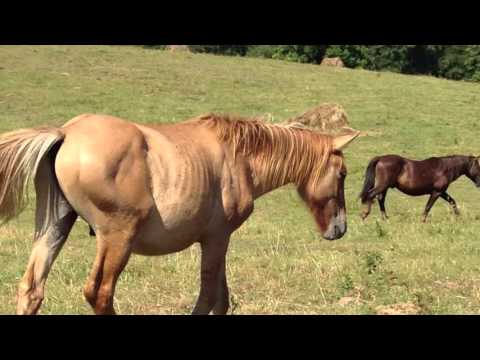 Wakacje W Ulu 2015 💙