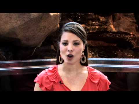 Water Safety Public Service Announcement featuring Miss Arkansas 2010, Alyse Eady