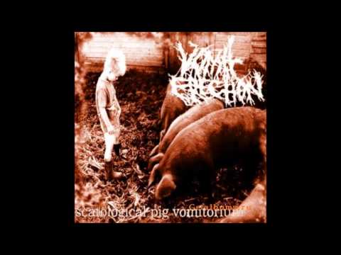 Vomit Erection - Rotten Rebirth Of Cannibal Gluttony