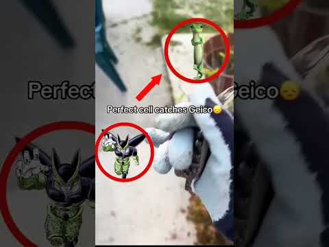 perfect cell catches geico