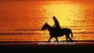 ACIYA GÜLMEK-HAKAN YEŞİLYURT