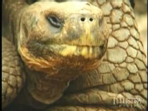 Unlocking the Mystery of Life (Chapter 2 of 12)