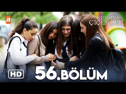Kırgın Çiçekler 56. Bölüm | HD