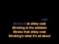 LOVAGE:  Stroker Ace KARAOKE VERSION with LYRICS!