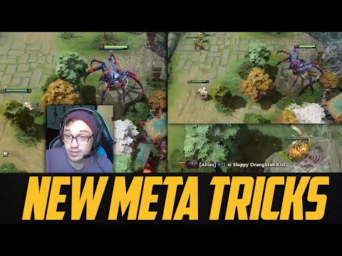 This Could Be Sleeper Broken (Brood Educational Guide)