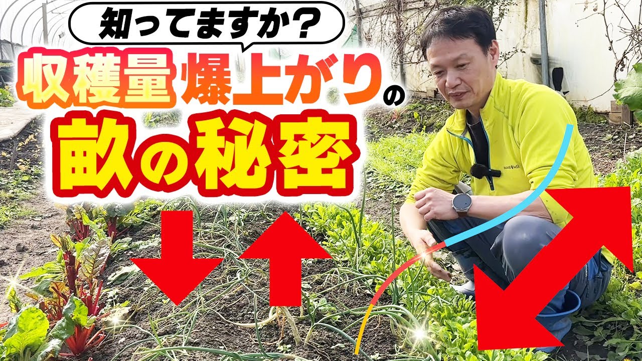 畝の側面も使う!サイド活用術