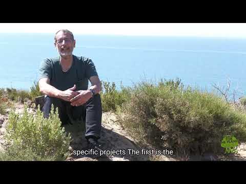 Plant-for-the-Planet Spain: Restoring lost forests in Andalusia