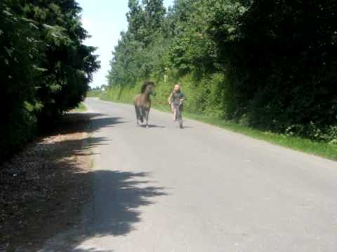 Kát frá Áslandi - Straße