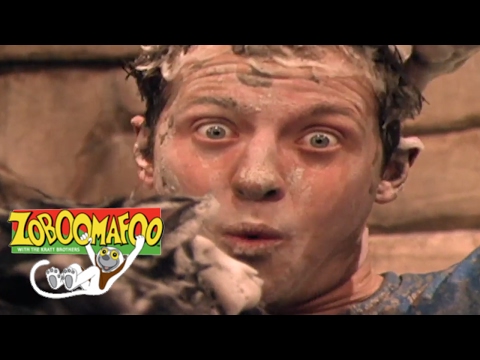🐒Zoboomafoo 129 - Bathtime | HD | Full Episode🐒