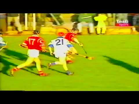 1999 South Eastern Hurling League Cork v Waterford