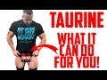 What is Taurine? Great for Muscle Growth, Fat Loss, Vegans | Tiger Fitness