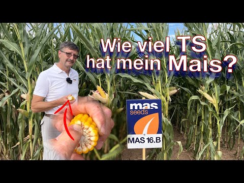 Frag Dr. Schröder - Wie viel TS (Trockensubstanz) hat mein Mais?