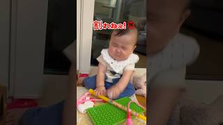 【育児あるある】赤ちゃんってコツコツするの好きじゃね？#shorts