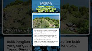 Bukit Pengilon di Gunungkidul Suguhkan Hamparan Hijau, Laut Biru, dan Spot Camping dengan Panorama