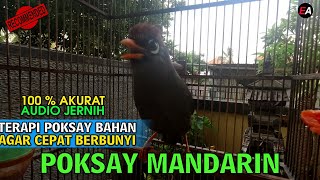 Download lagu BIKIN POKSAY MANDARIN GACOR LUAR BIASA, PANCINGAN BIKIN POKSAY GACOR, DIJAMIN 3 MENIT PASTI NYAUT! mp3 Download lagu BIKIN POKSAY MANDARIN GACOR LUAR BIASA, PANCINGAN BIKIN POKSAY GACOR, DIJAMIN 3 MENIT PASTI NYAUT! mp3