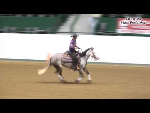 2016 NCRHA Extravaganza Non-Pro Derby