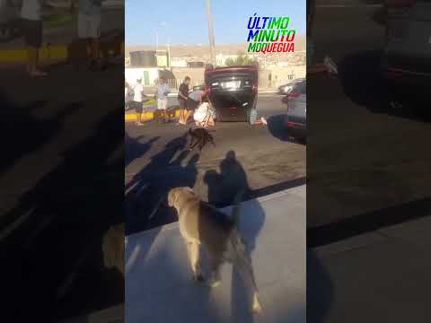 #Ilo || ACCIDENTE DE TRÁNSITO EN EL SECTOR DEL MALECÓN COSTERO Noticia en desarrollo