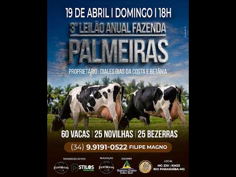 3º LEILÃO ANUAL FAZENDA PALMEIRAS - FILIPE MAGNO LEILÕES - RIO PARANAÍBA-MG