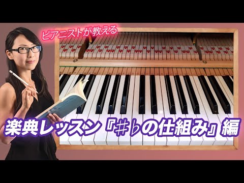 ベルン橋の眺め