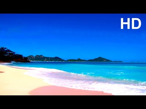 Meeresrauschen mit Möwen - Entspannung Meditation