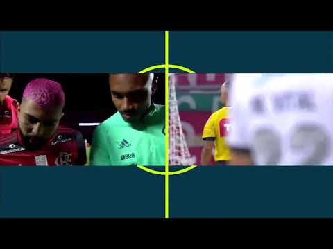 VEJA a REAÇÃO dos JOGADORES do FLAMENGO com TITULO BRASILEIRO!