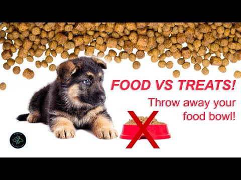 Canine Evolutions video.