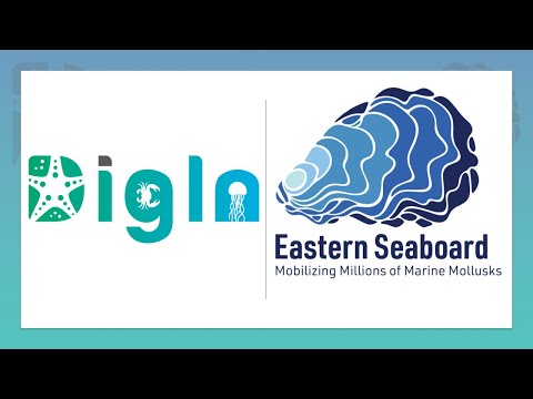 An Introduction to the DigIn and ESB TCNs